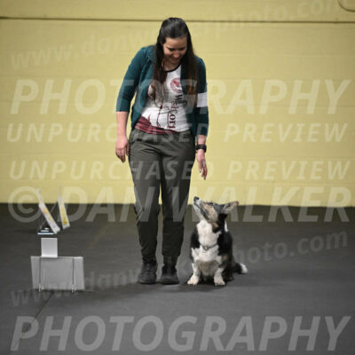 SUN705_0039
