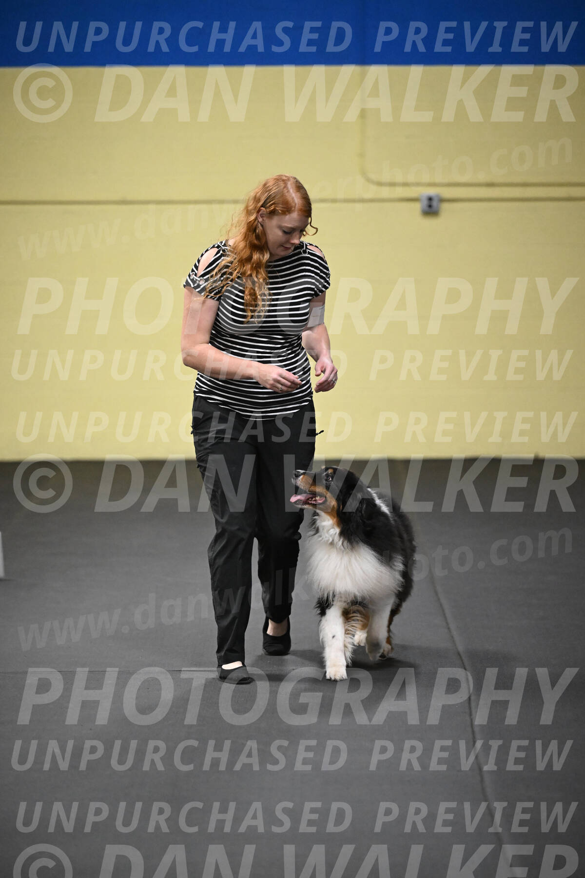 SUN711_0036