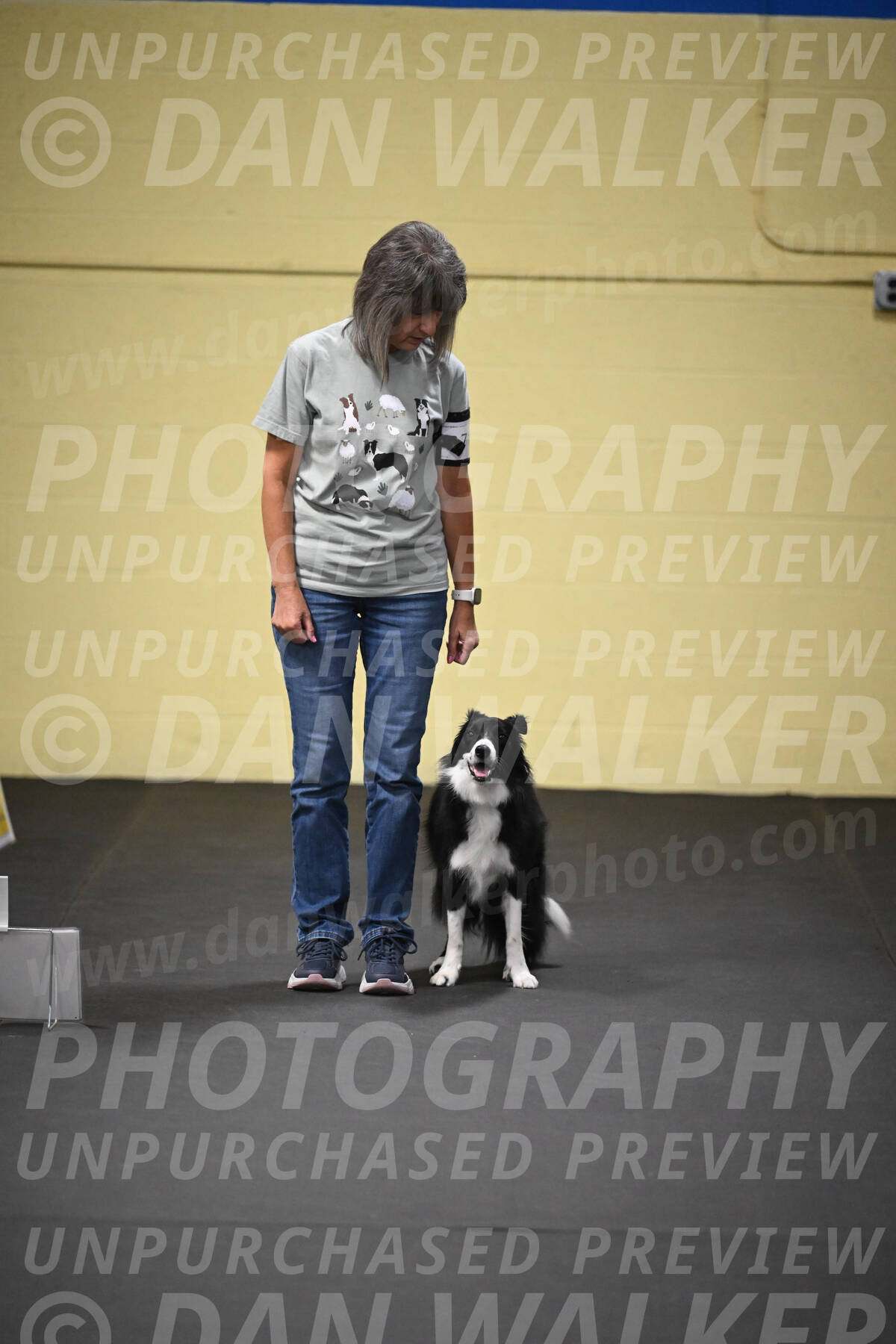 SUN712_0019