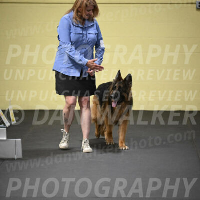 SUN720_0023