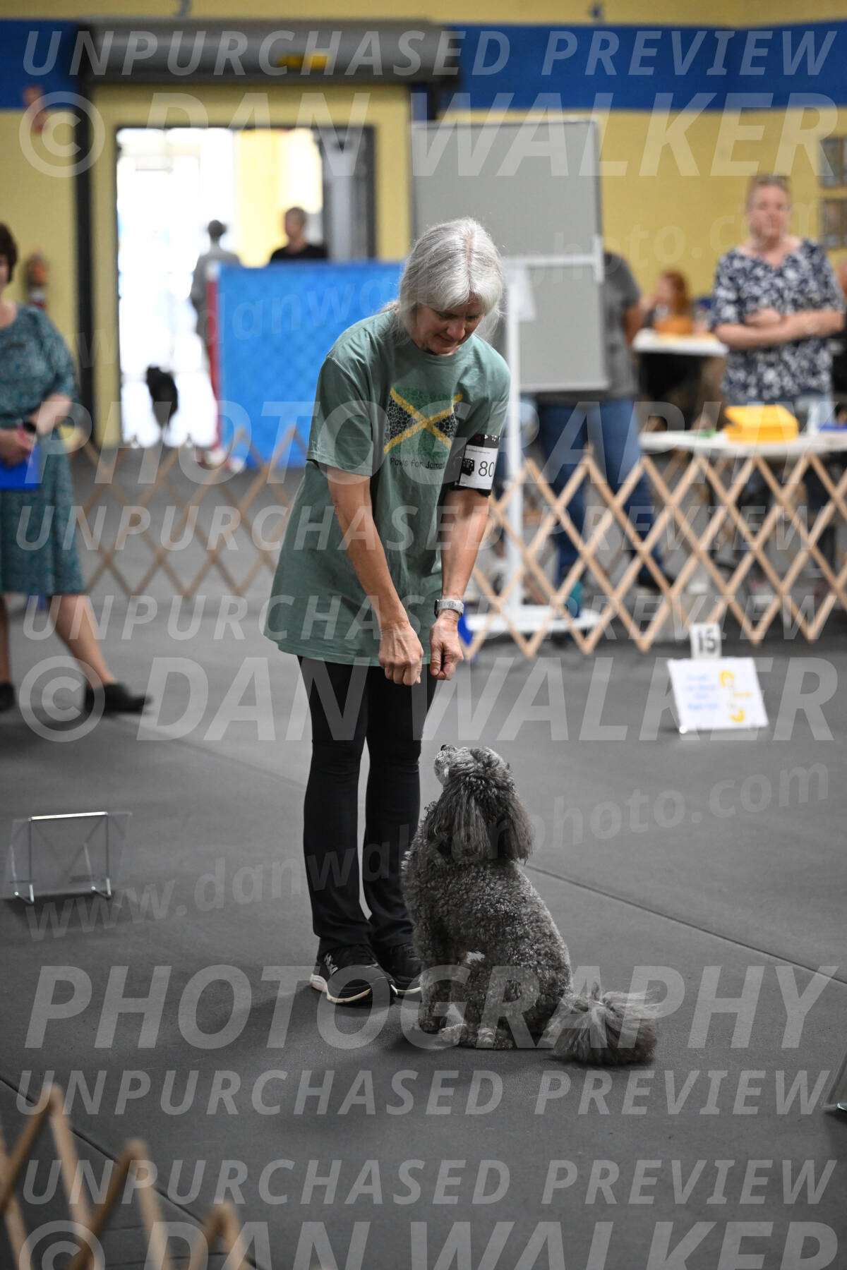 SUN803_0014