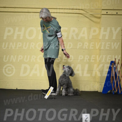 SUN803_0032