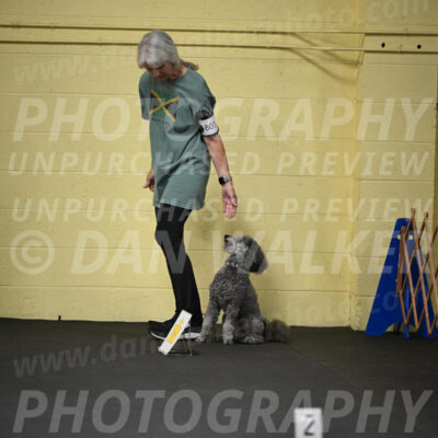 SUN803_0033