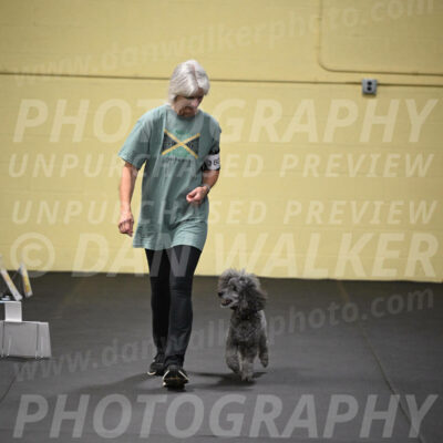 SUN803_0055