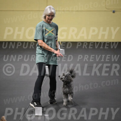 SUN803_0093