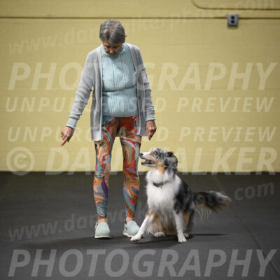 SUN810_0049