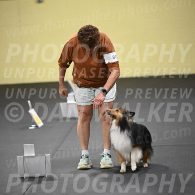 SUN811_0060
