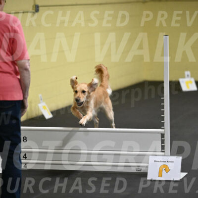 SUN821_0019
