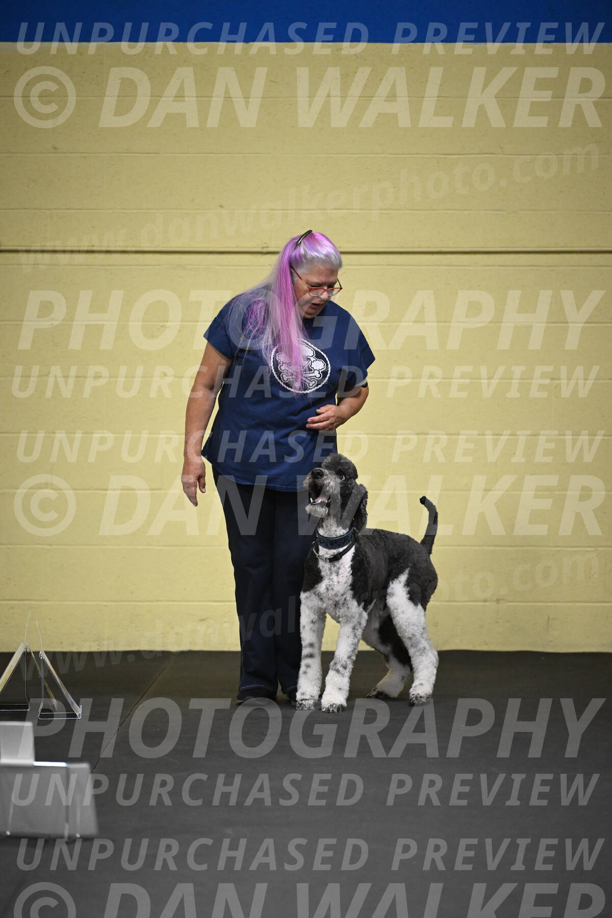 SUN905_0015