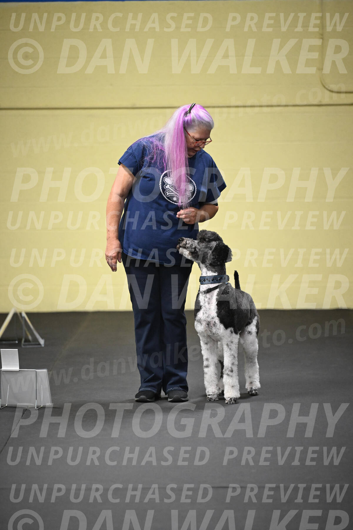 SUN905_0034