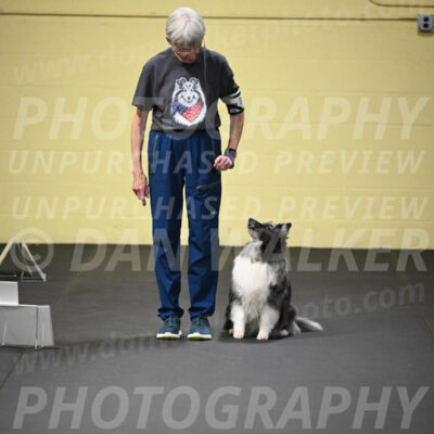 SUN907_0039