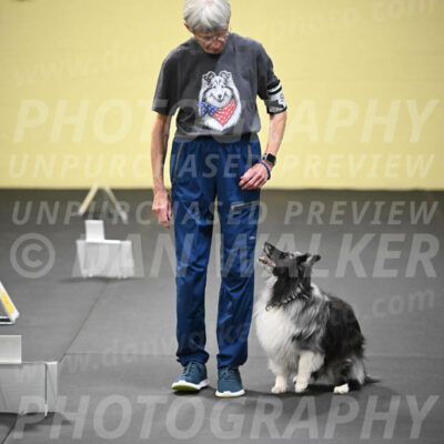 SUN907_0053