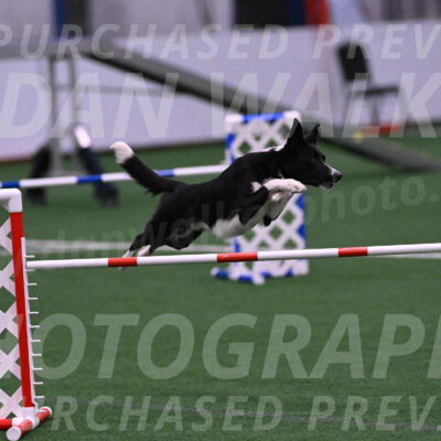 Arrow-Juliet-Weissberg-05292