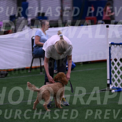 Brandy-Gaynor-Ibbotson-05477