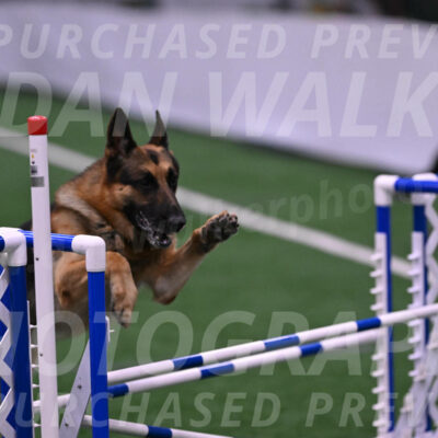 Chance-Julie-Degen-06673