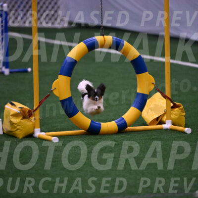 Charlie-Jesse-Westover-06951