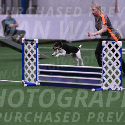 Denver-Sue-McGinty-01173