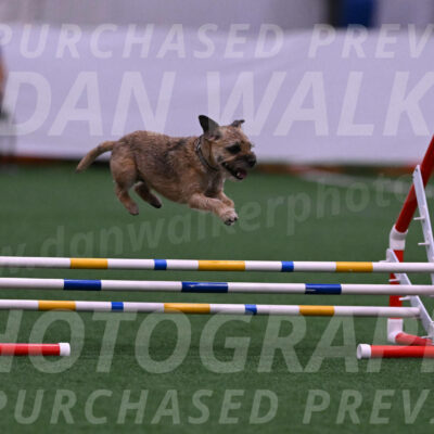 Dusty-Doug-Darrah-00458
