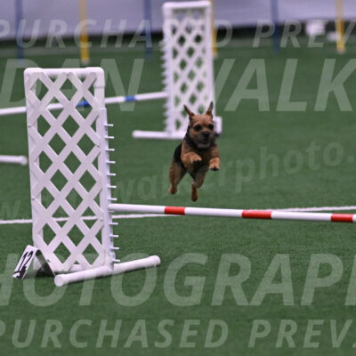 Erin-Doug-Darrah-00411