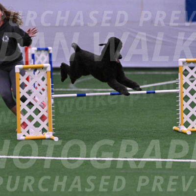Finn-Madison-Canton-04423