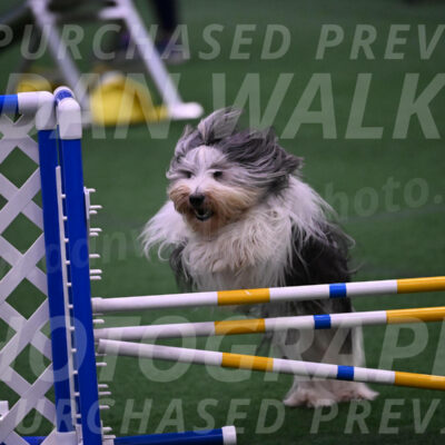 Henry-Sharon-Gomber-01834