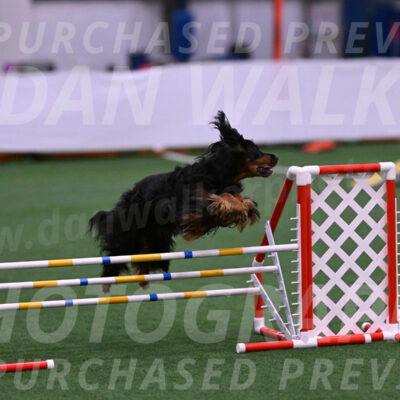 Journey-Candie-Gelis-06773