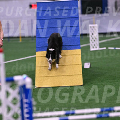 Kona-Beth-Ann-Laidman-02476
