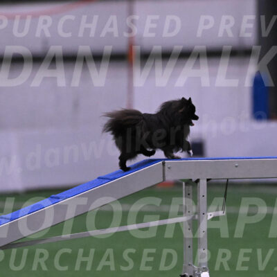 Kuro-Chasidy-DelBalso-05543