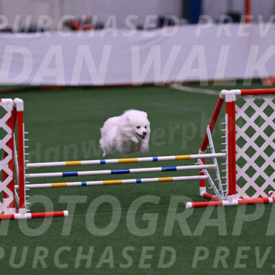 Miska-Glenn-Rawsky-01408