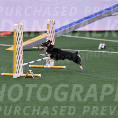 Ozzie-Judy-Roback-07073