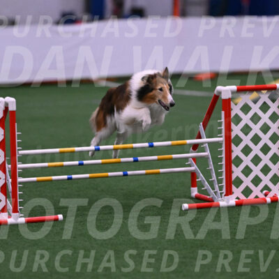 Roger-Preferre-Amdrea-Bixby-06811