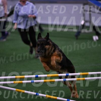 Sascha-Larraine-Perry-06759