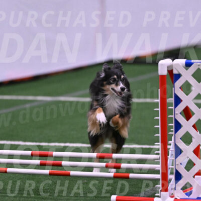 Slider-Cheryl-A-Minichiello-06106