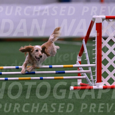Wendy-Julie-Ashley-00298