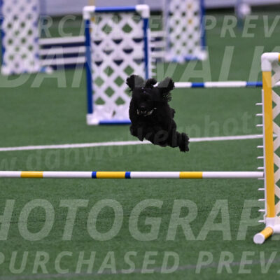 Winston-Madison-Canton-04513