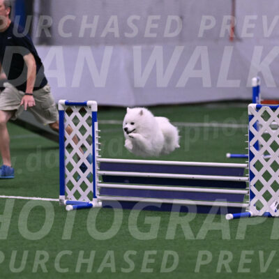Yeti-Glenn-Rawsky-02039