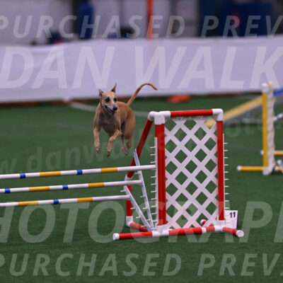 Zuzu-Julie-Weir-03200