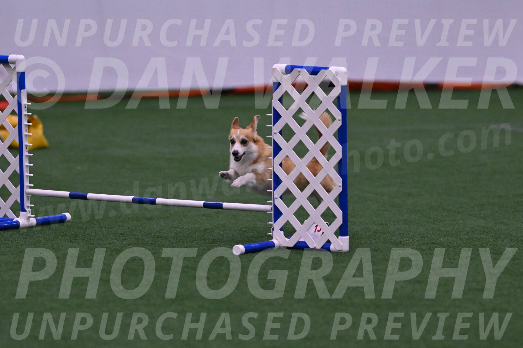 Abby-Heather-Lampman-09894