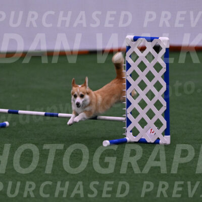 Abby-Heather-Lampman-09896