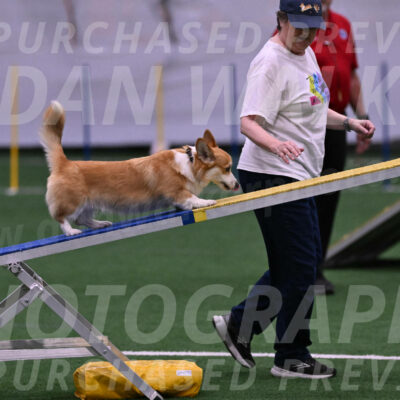 Abby-Heather-Lampman-09908