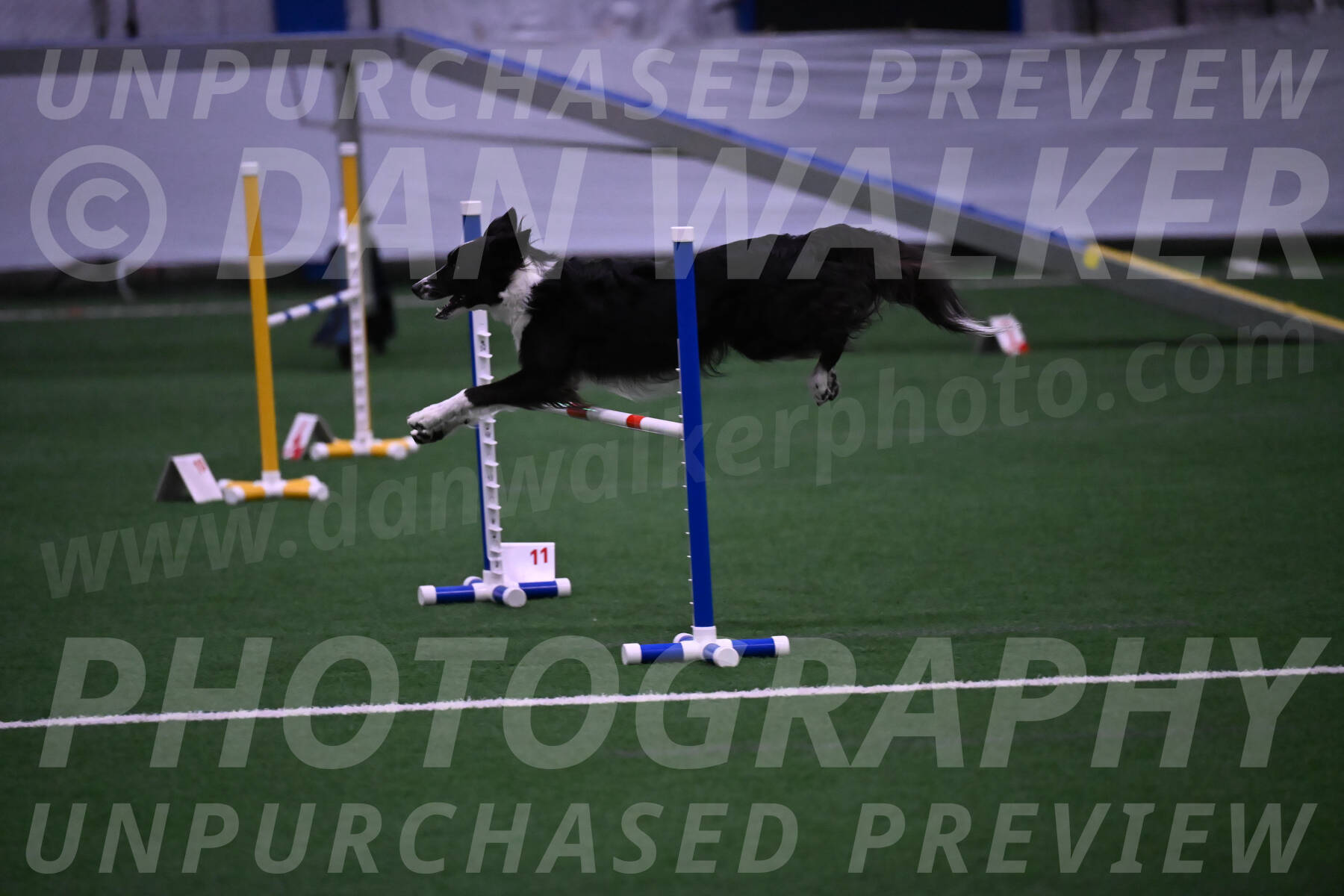 Allie-JoAnn-Myers-06001