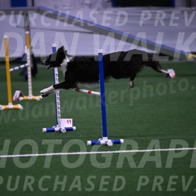Allie-JoAnn-Myers-06001