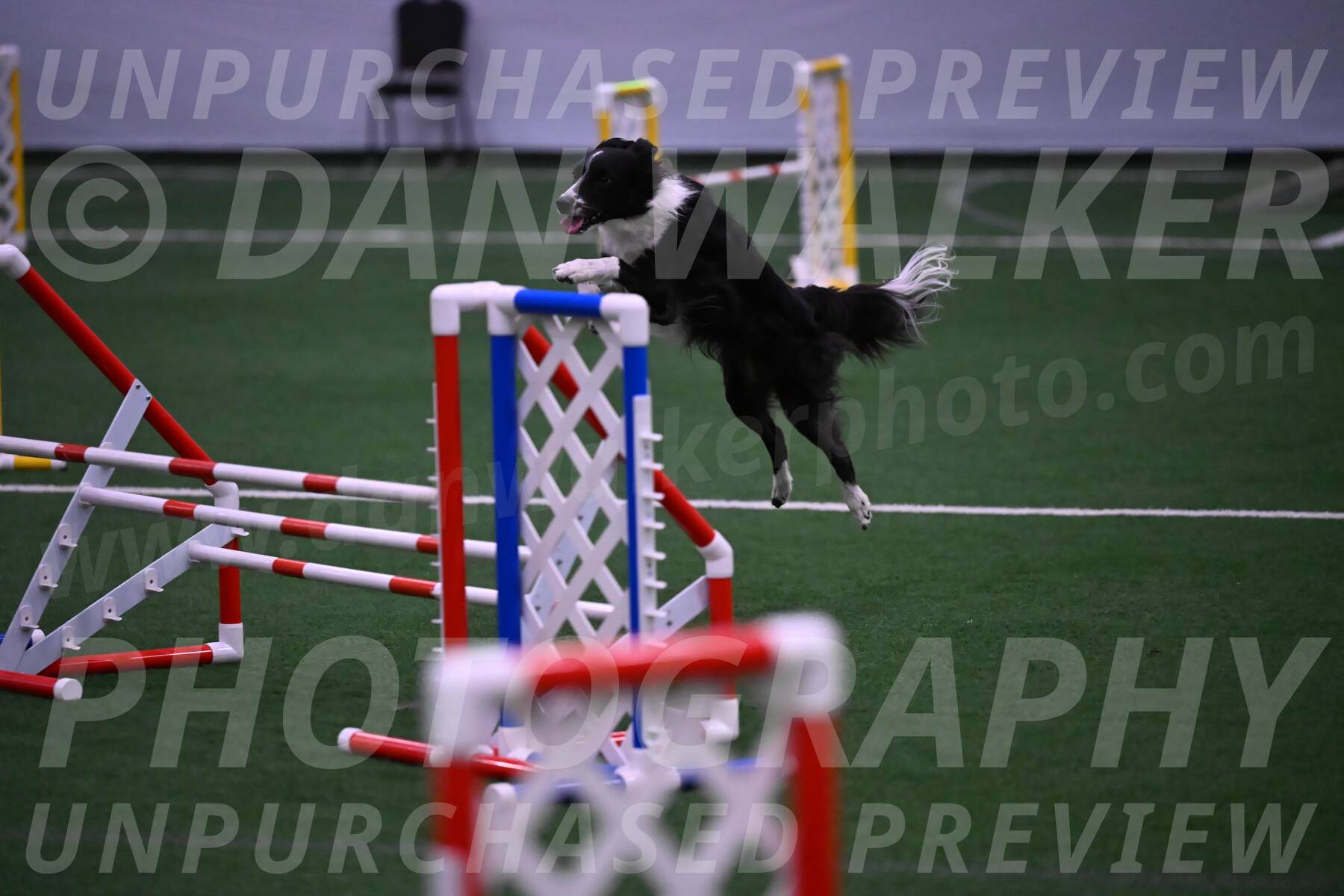 Allie-JoAnn-Myers-06005