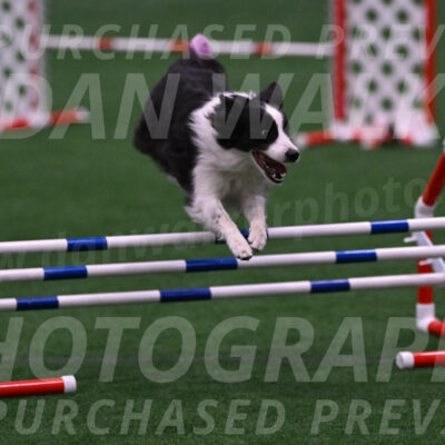 Annie-Tricia-Mark-Solinger-01988