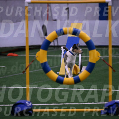 Argent-Susan-Klein-06341
