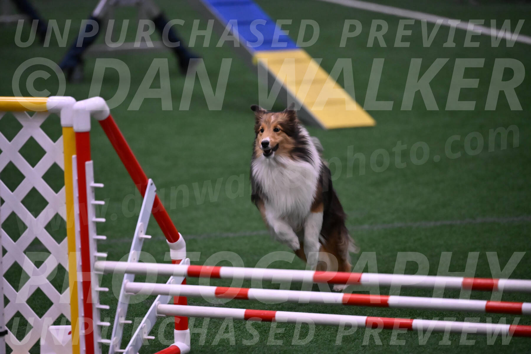Aurora-Suzanne-Stachurski-12542