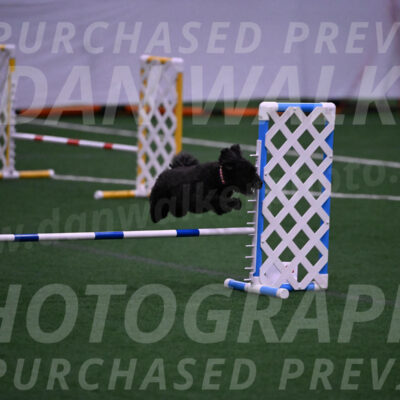 Aweggie-Kay-Rackley-12202