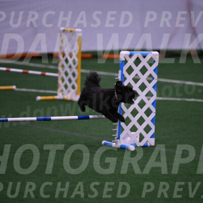 Aweggie-Kay-Rackley-12203