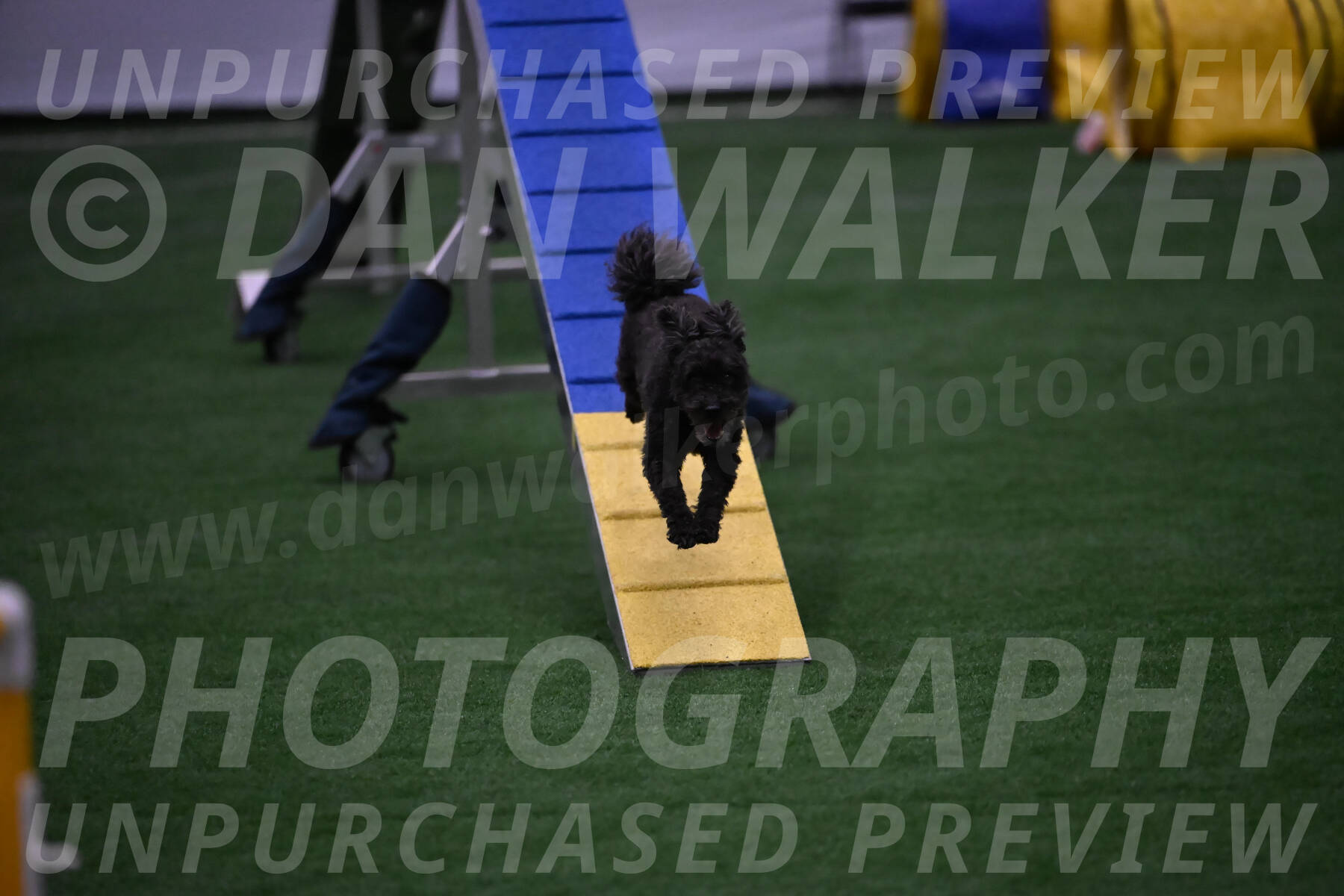 Aweggie-Kay-Rackley-12212