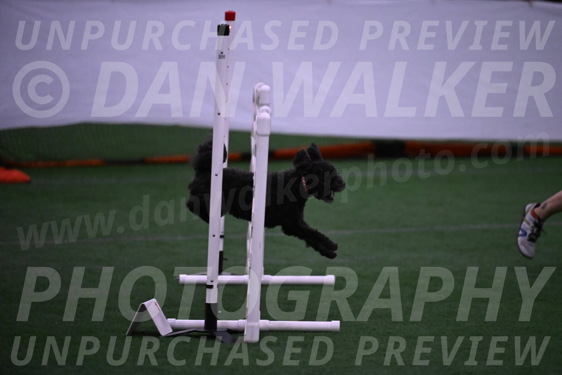 Aweggie-Kay-Rackley-12231